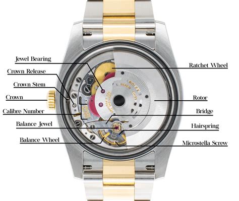 what parts of a rolex are gold|how does Rolex watches work.